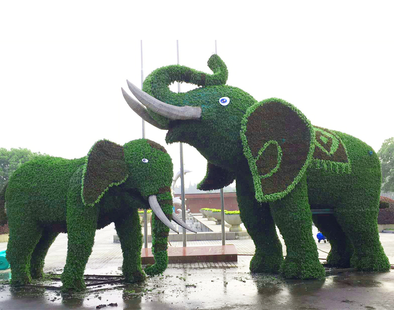 武漢動物園-母子象